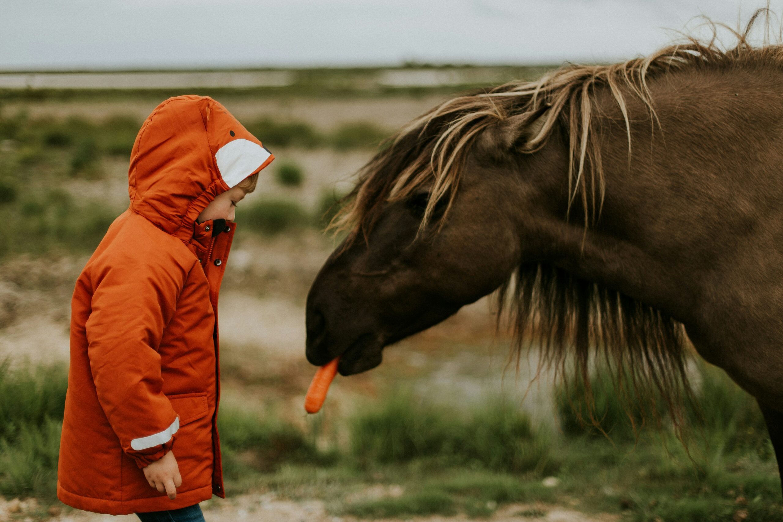 daiga-ellaby-tIpx6MN2Tn0-unsplash
