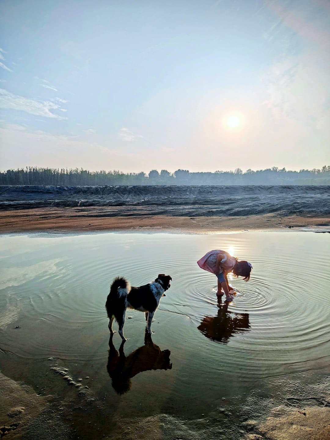Child and dog by a shallow body of water.